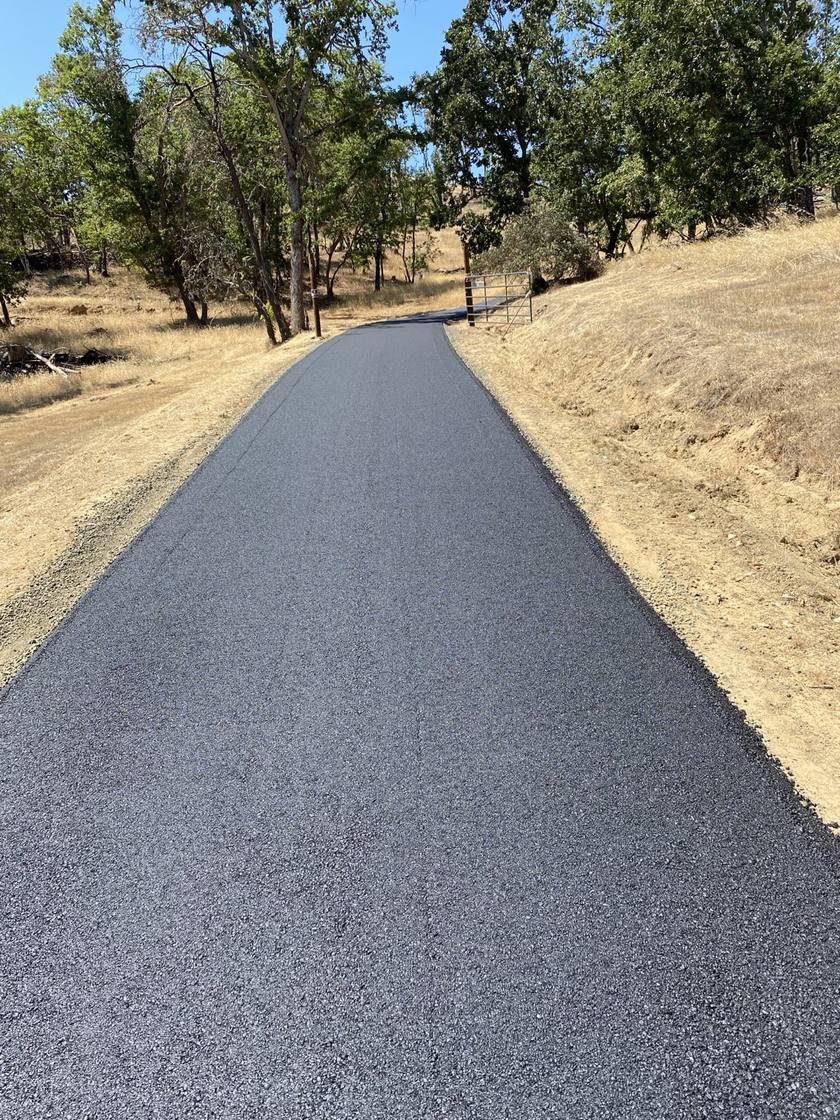 Narrow asphalt driveway curving through trees toward an open gate.