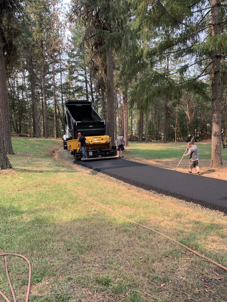 Paving crew laying asphalt with a paver and dump truck among tall pine trees.